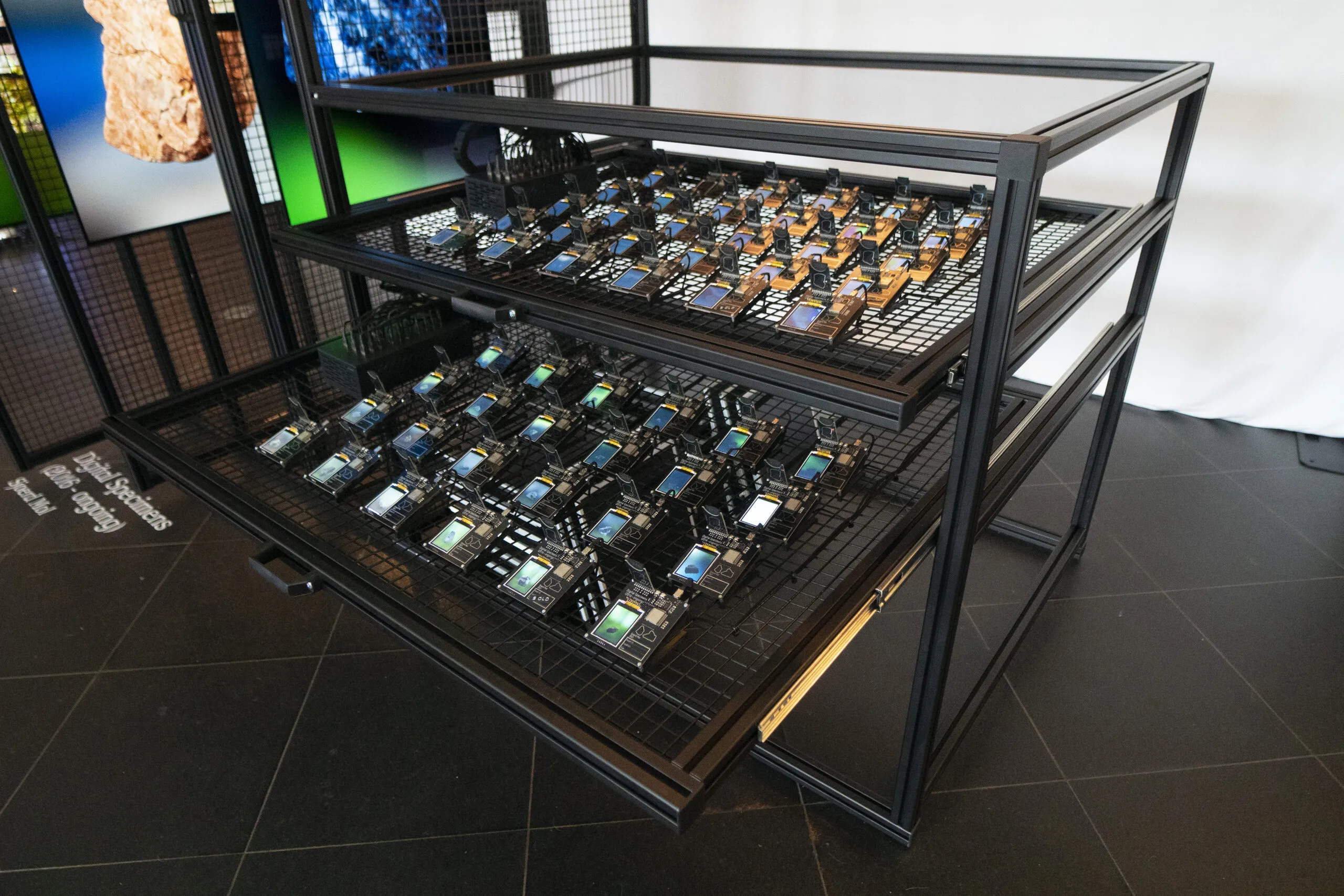 Digital Specimens