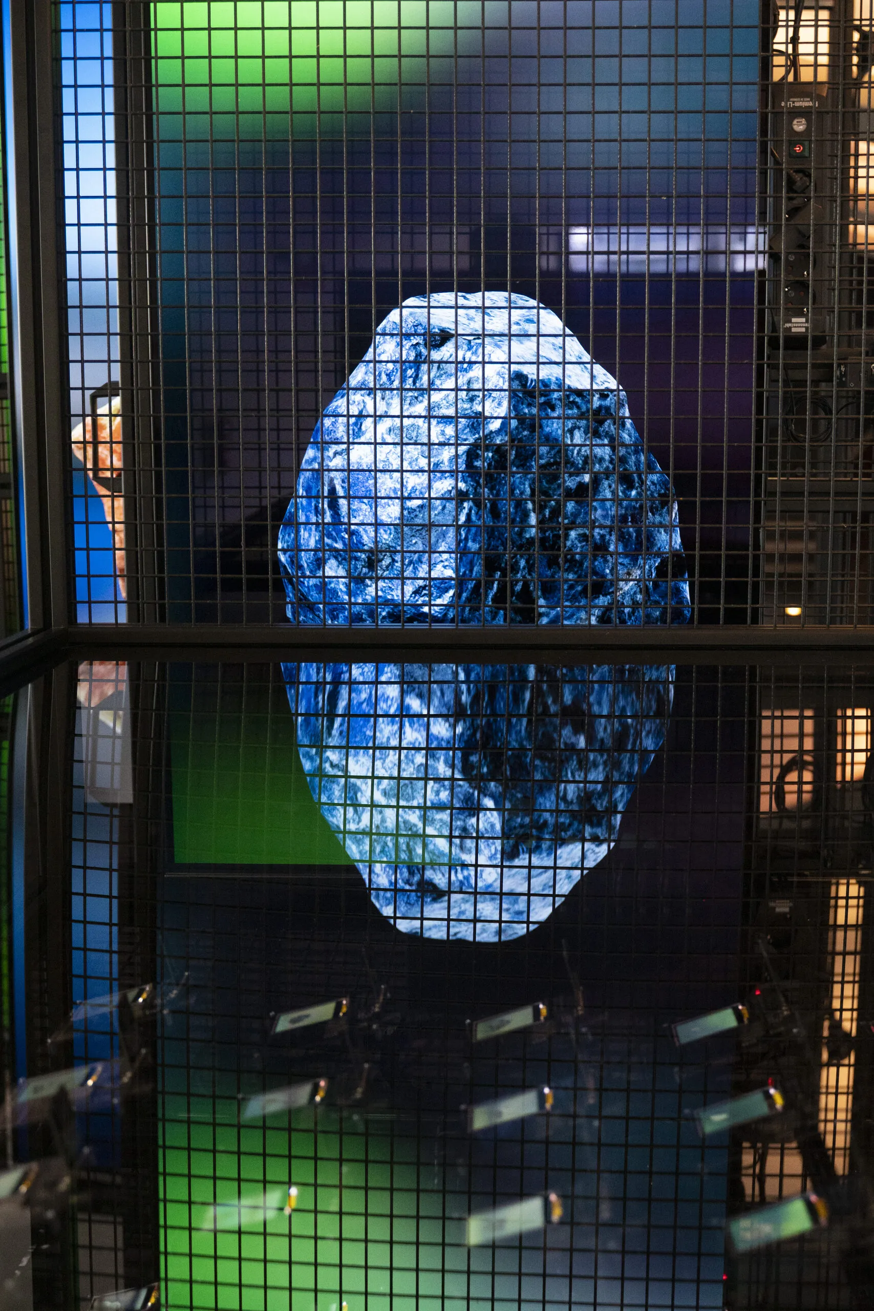 Digital Specimens
