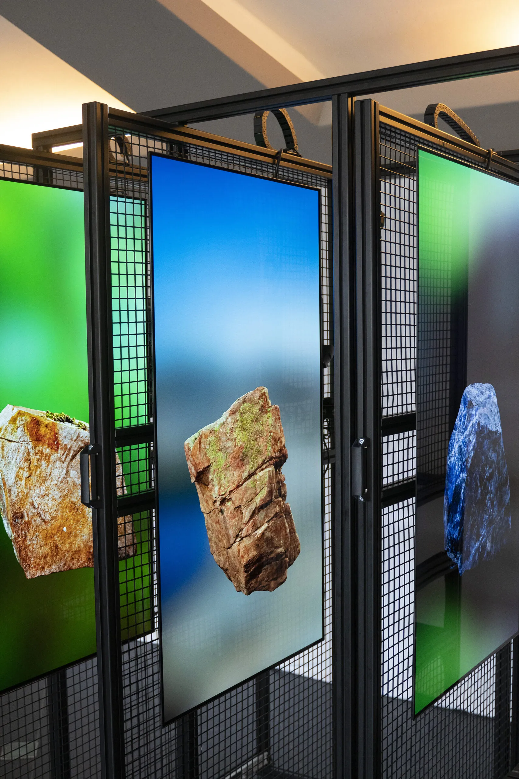 Digital Specimens