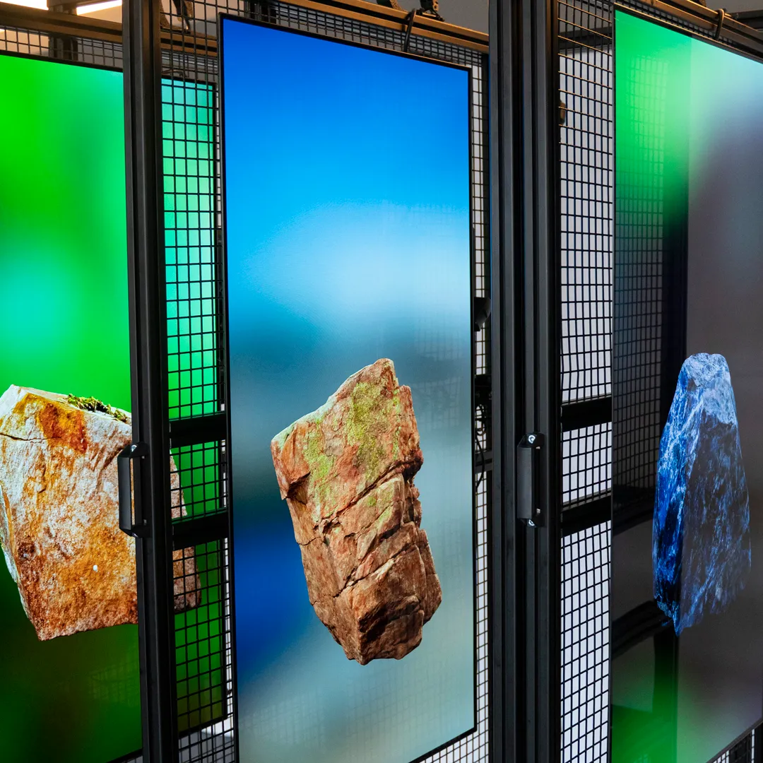 Digital Specimens