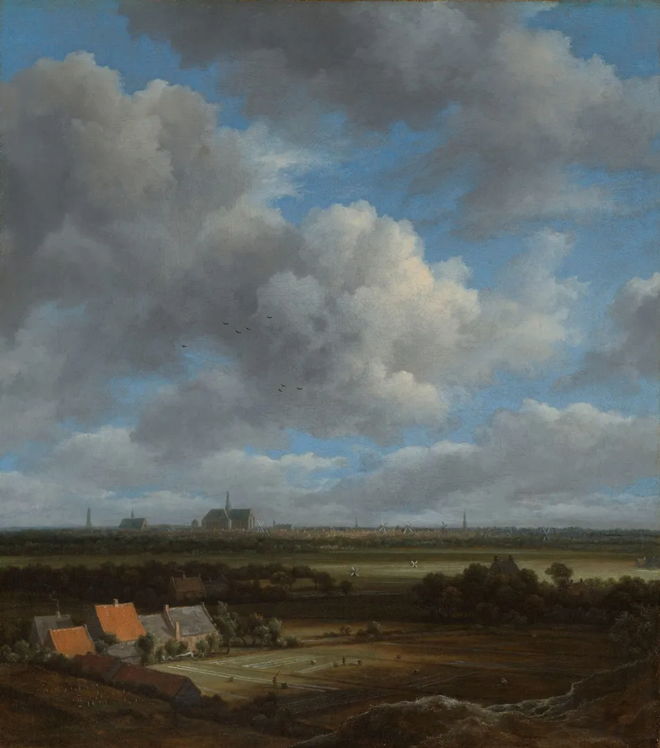 Gezicht op Haarlem uit het noordwesten, met de blekerijen op de voorgrond